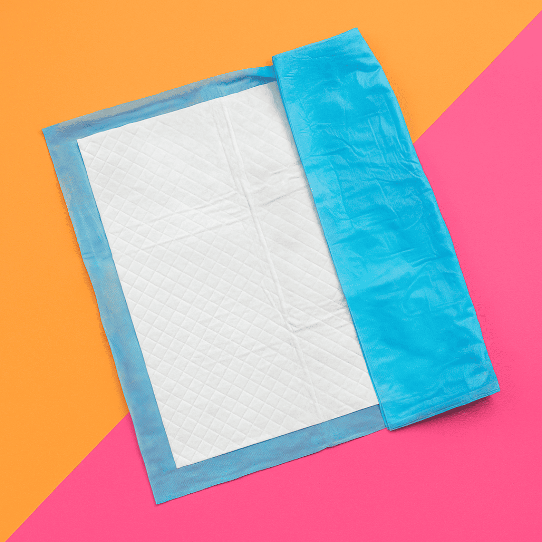 Leak-Proof Disposable Pet Toilet Training Mats (pack of 10), 60x90 cm Super Absorbent, Odor-Free, Waterproof Pee Pads for Dogs & Cats