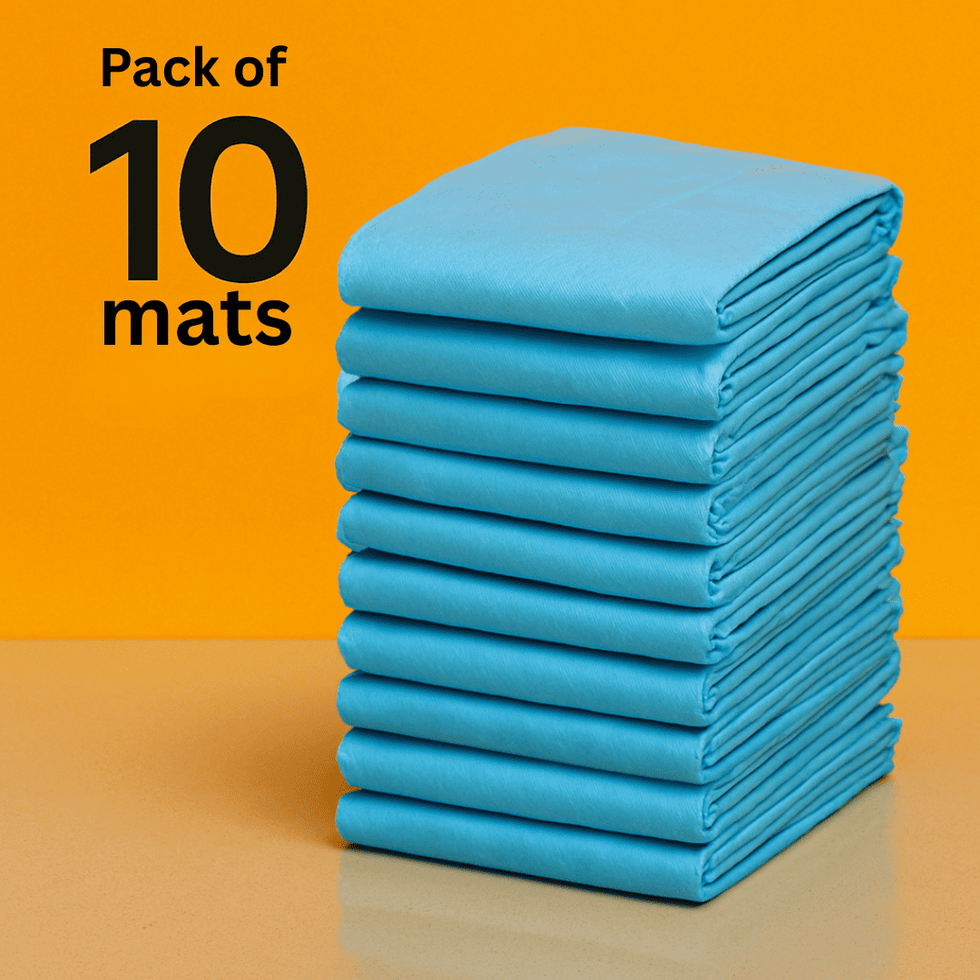 Leak-Proof Disposable Pet Toilet Training Mats (pack of 10), 60x90 cm Super Absorbent, Odor-Free, Waterproof Pee Pads for Dogs & Cats