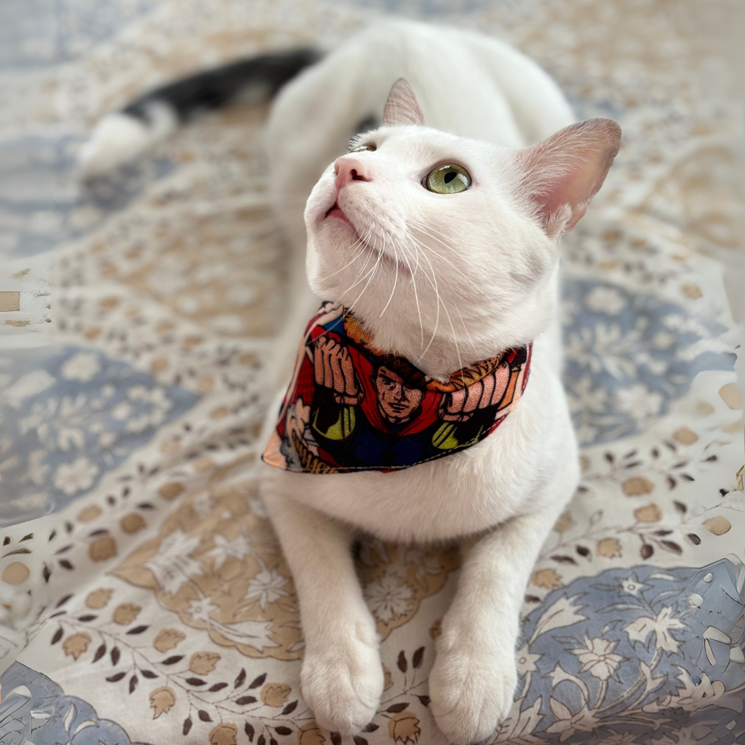 Superhero cat bandana 