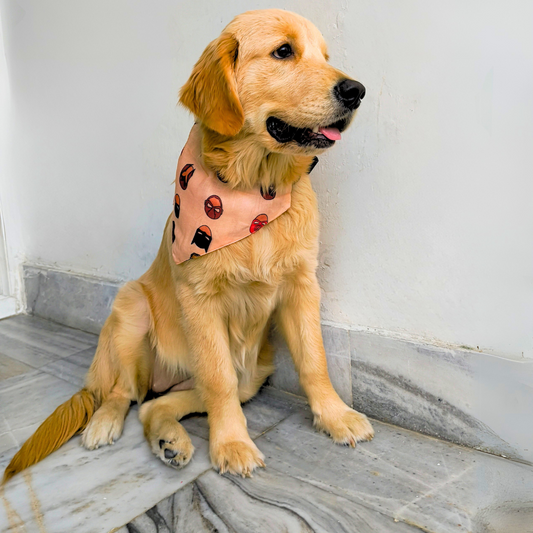 Marvel printed dog bandana