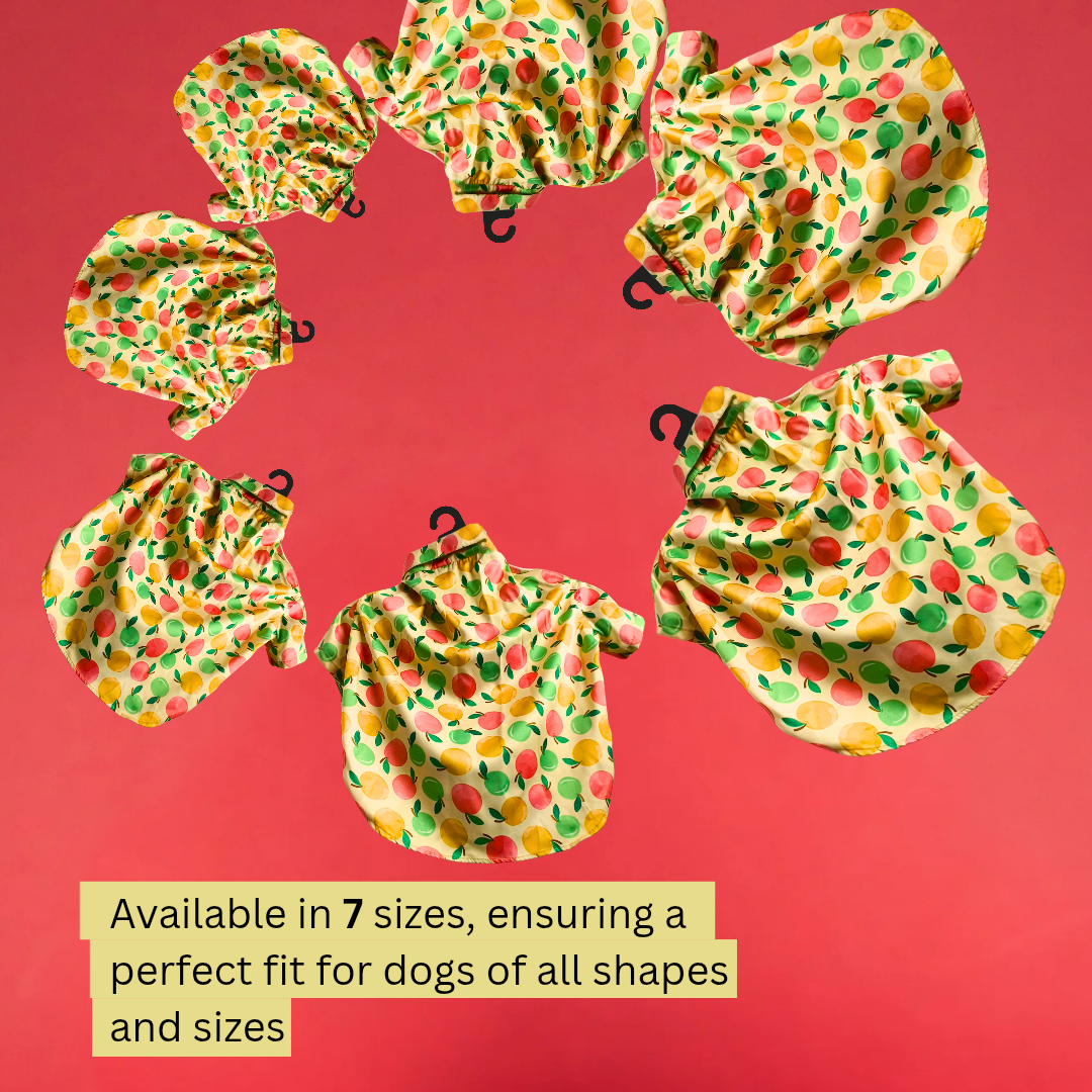 Fruity Apple Print Shirt for Dogs, Breathable fabric, Easy wear with Velcro fitting