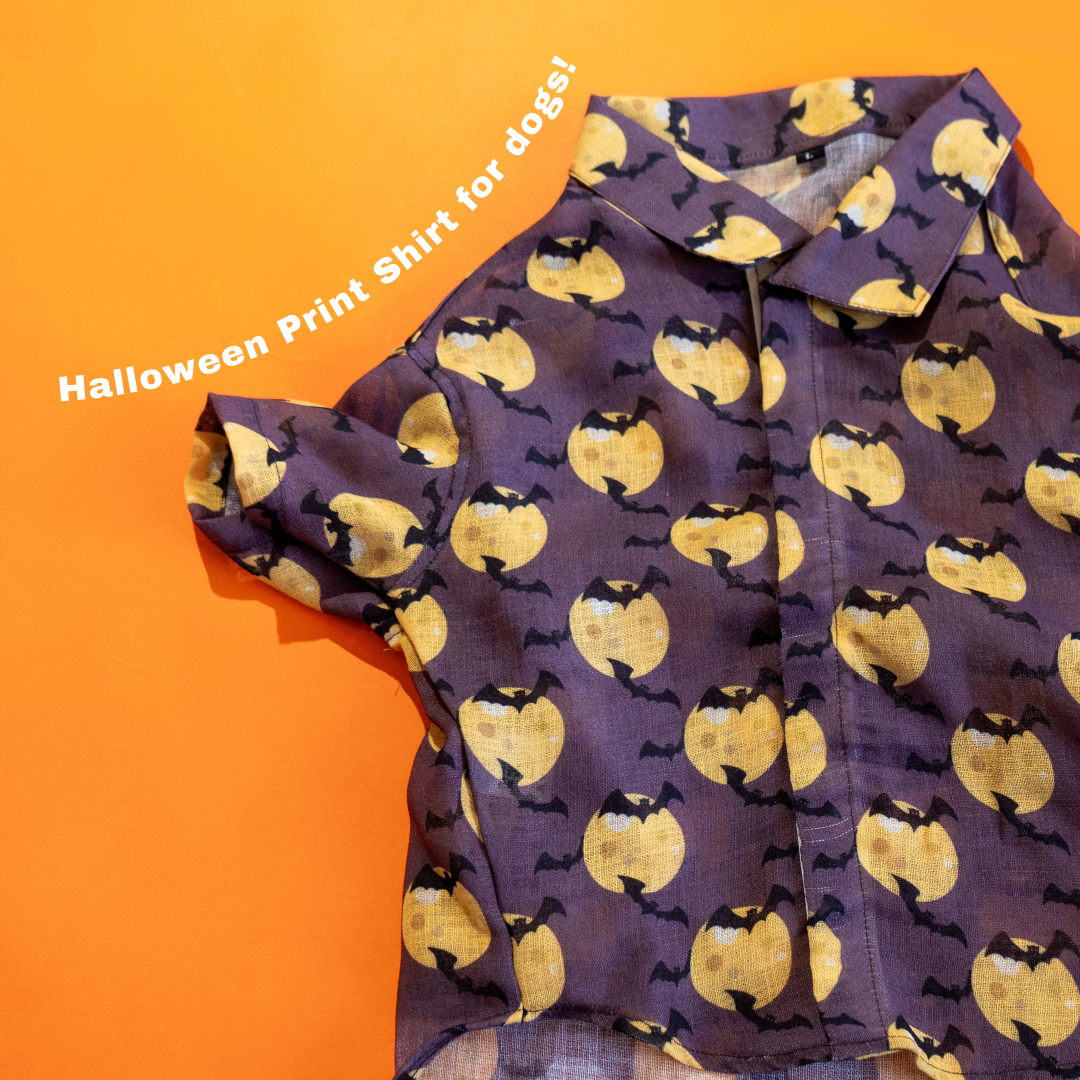 summer shirt for dogs