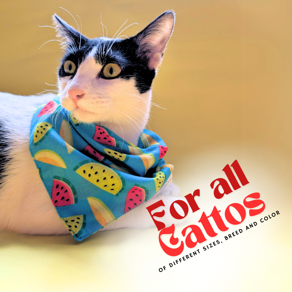 Fruity Melon Print 01 Cat Bandana, One-size, Cambric Fabric, Washable and Reusable