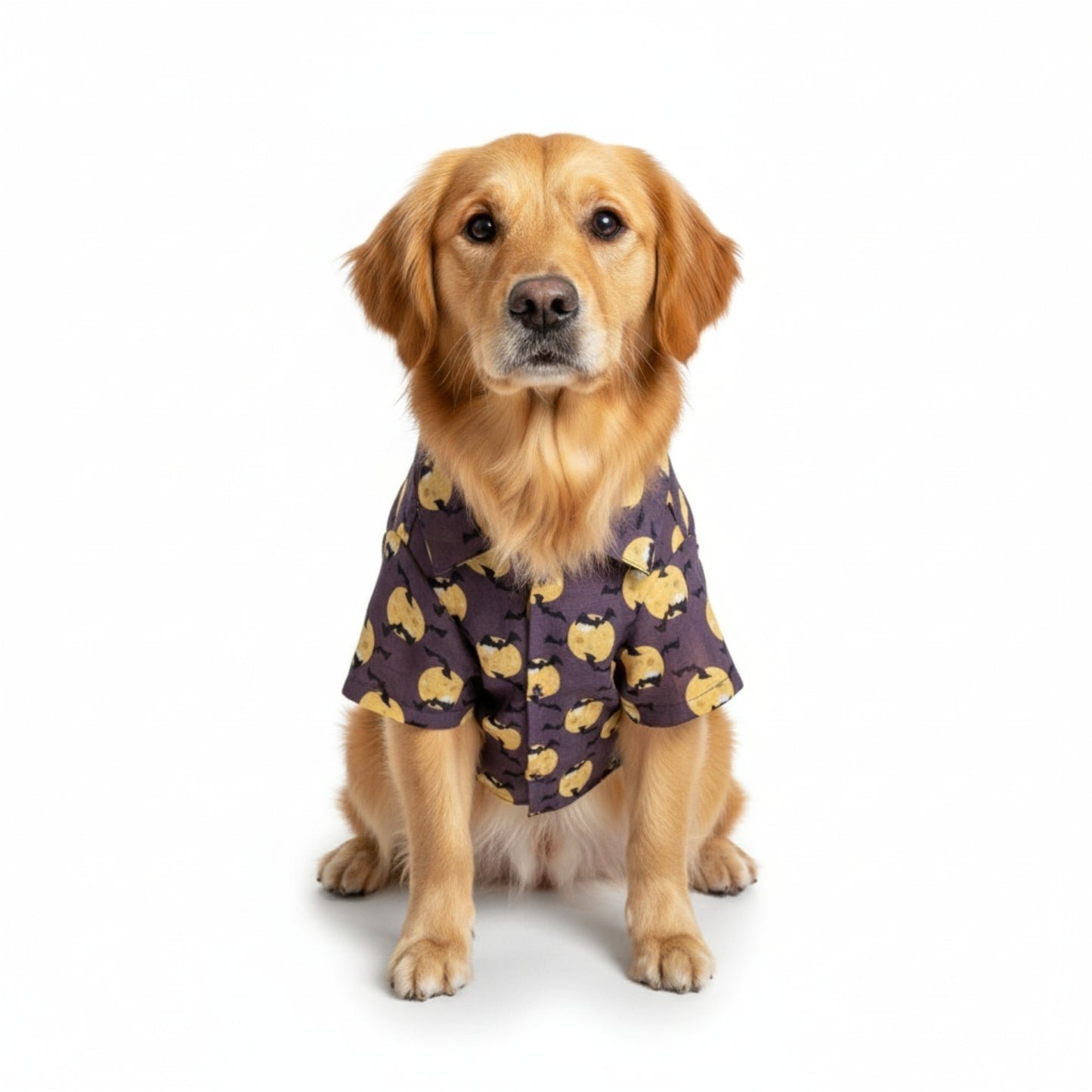 Halloween Print Shirt for Dogs, Breathable fabric, Easy Wear with Velcro Fitting