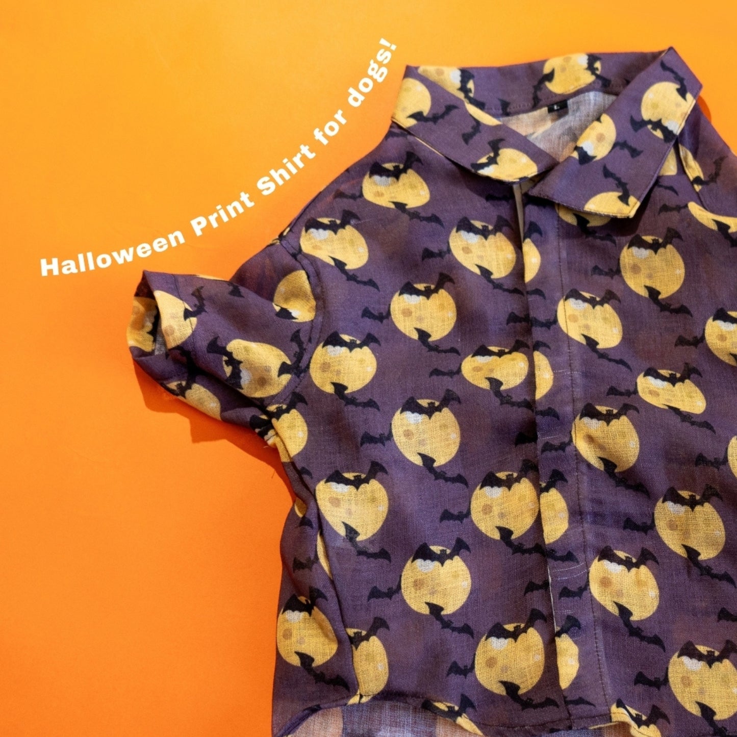 Halloween Print Shirt for Dogs, Breathable fabric, Easy Wear with Velcro Fitting